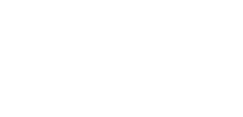 STRATEGIC & ENVISIONING WORKSHOP